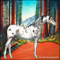 Horse Color:Liver Red Dun Tobiano Appaloosa 