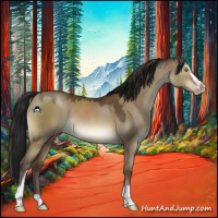 Horse Color:Gray Sable Champagne Dun Sabino 