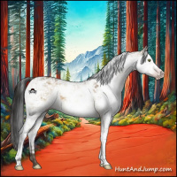 Horse Color:Gray Sable Champagne Dun Sabino 