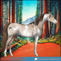 Horse Color:White Spotted Brown Pearl Dun Sabino 