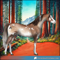 Horse Color:White Spotted Brown Pearl Onyx Splash 