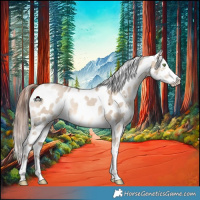 Horse Color:White Spotted Sable Champagne Dun Appaloosa