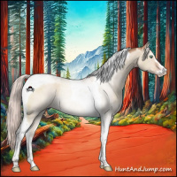 Horse Color:Silver Sable Champagne Dun Sabino Tobiano 