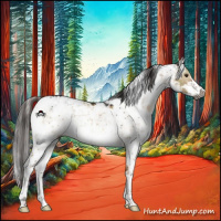 Horse Color:Gray Liver Red Dun Sabino 