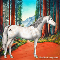 Horse Color:Silver Sable Champagne Pearl Dun Mushroom Tobiano Near Leopard 
