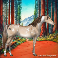 Horse Color:White Spotted Brown Pearl Dun 