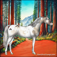 Horse Color:White Spotted Silver Brown Onyx Tobiano 