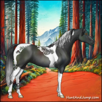 Horse Color:Platinum Black Tobiano 