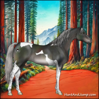 Horse Color:Gray Platinum Silver Brown Mushroom Tobiano