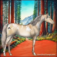 Horse Color:Gray White Spotted Silver Sable Champagne Pearl Dun 
