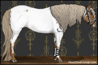 Horse Color:Chocolate Palomino Appaloosa Rabicano 