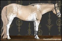Horse Color:White Spotted Chocolate Palomino Pearl 