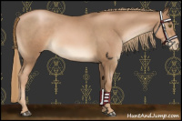 Horse Color:Liver Chestnut Pearl