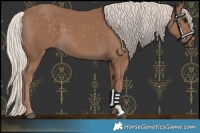 Horse Color:Chocolate Silver Smoky Black