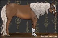 Horse Color:Chocolate Silver Smoky Black