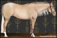 Horse Color:Chocolate Silver Buckskin Pearl Rabicano 