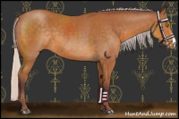 Horse Color:Chocolate Silver Buckskin