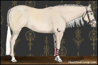 Horse Color:Cremello Rabicano 