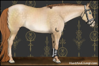 Horse Color:Chocolate Buckskin Pearl