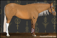 Horse Color:Chocolate Silver Buckskin 