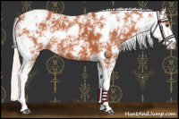 Horse Color:Chocolate Silver Bay Sabino 