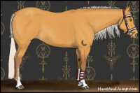Horse Color:Chocolate Silver Buckskin Sabino