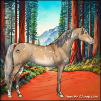 Horse Color:Gray White Spotted Silver Sable Champagne Dun 
