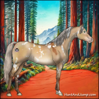 Horse Color:Gray White Spotted Silver Sable Champagne Dun 