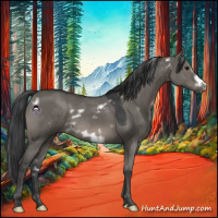 Horse Color:White Spotted Grullo Frame 
