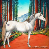 Horse Color:White Spotted Gold Champagne Pearl Dun 