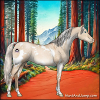 Horse Color:White Spotted Silver Buckskin Pearl Dun 