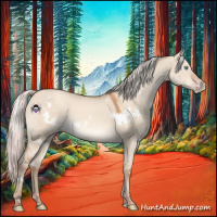 Horse Color:White Spotted Silver Sable Champagne Dun 