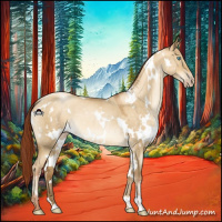 Horse Color:Gray White Spotted Classic Cream Champagne Roan Pearl Dun 
