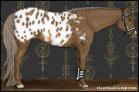 Horse Color:Chocolate Palomino Blanket 