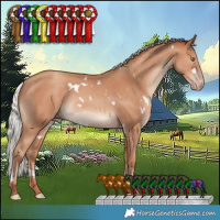 Horse Color:White Spotted Silver Classic Champagne Rabicano