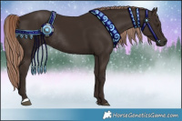 Horse Color:Liver Chestnut Rabicano 