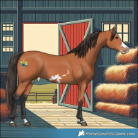 Horse Color:Bay Splash Frame 