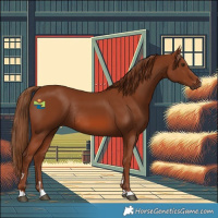 Horse Color:Chestnut Rabicano 