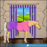 Horse Color:Palomino