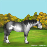 Horse Color:Gray Black Frame 