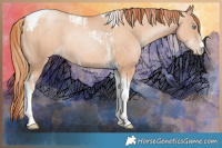 Horse Color:Gold Champagne Pearl Tobiano Rabicano and Amber Champagne Pearl Tobiano Rabicano