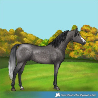 Horse Color:Platinum Brown Dun Sabino 