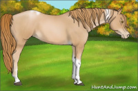 Horse Color:Red Roan Pearl Tobiano Frame 