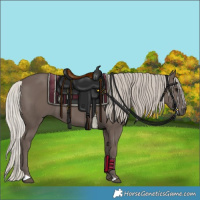 Horse Color:Silver Black 