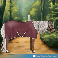Horse Color:Silver Black 