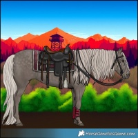 Horse Color:Silver Black
