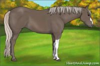 Horse Color:Silver Black 