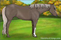 Horse Color:Silver Black 