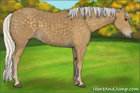 Horse Color:Silver Smoky Black 