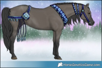 Horse Color:Grullo 